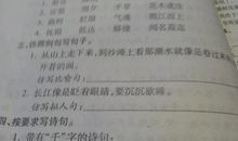 用比喻句写月亮