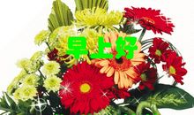 2019大年初四祝福语