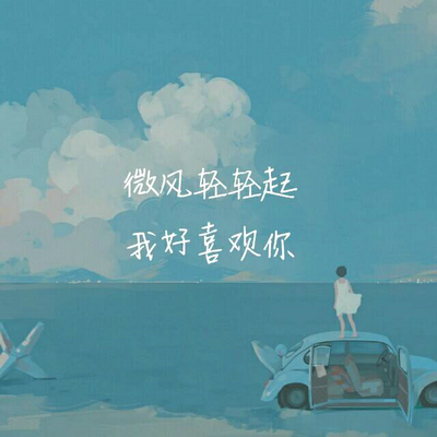 我喜欢你的句子