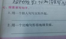 拟人句50句左右
