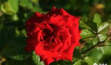 精辟朋友圈说说