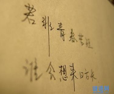好青年句