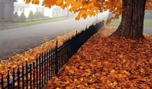 形容秋天伤感的句子