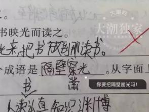 全套带单词的一年级句子