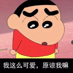 颤音中热闹的句子