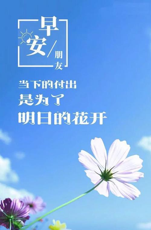 女孩阳光正能量句子