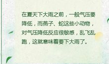 四年级科学天气谚语