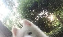 半夜醒来的微信说说