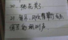 五十字的拟人句