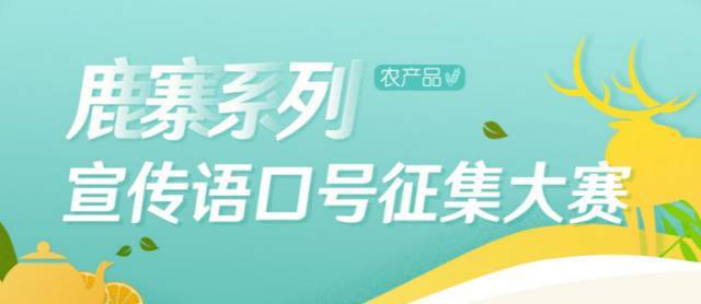 演讲比赛口号