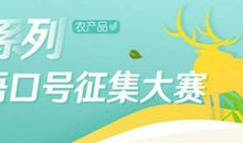 演讲比赛宣传口号