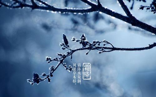 霜落箴言