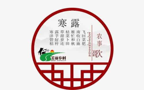 二十四节气谚语冷露