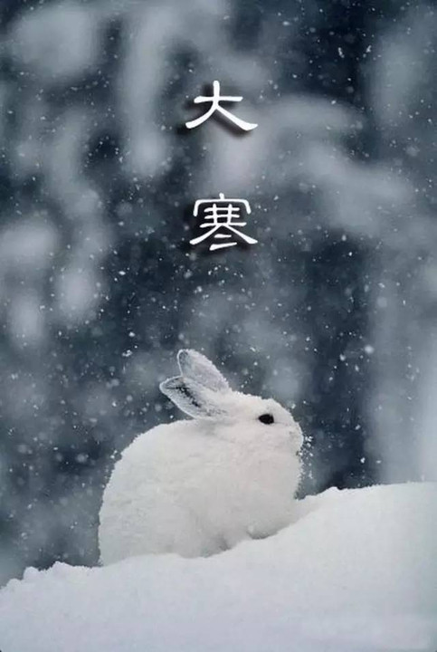 伟大的冷谚语