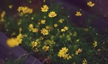 社会太复杂人心太险恶