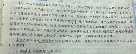 用故乡写隐喻