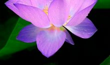 做事要学会变通的名言