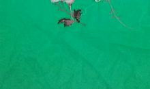 被面上刺绣的歇后语