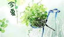 忽而今夏经典语录