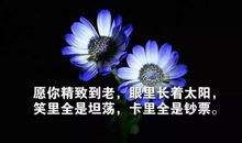 生活感悟长句子英文