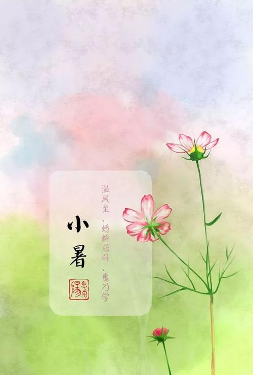 关于小叔的谚语