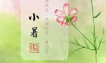 有关小暑的谚语
