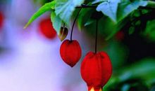 很火的句子抖音