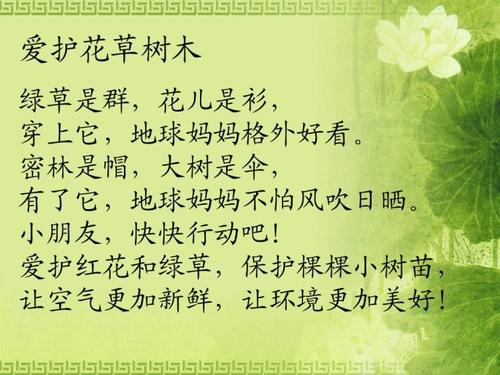 关于保护环境的口号