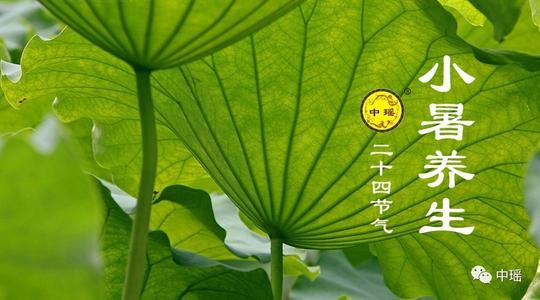 小树谚语