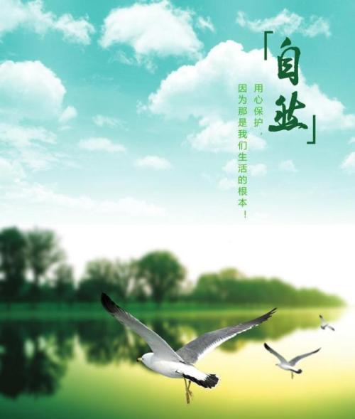 自然口号