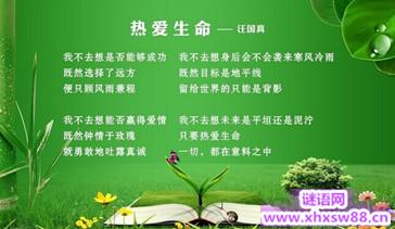 关于种植的谚语