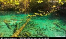 清澈见底造句大全