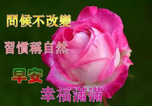 早安祝福