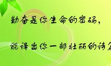 表达努力工作的句子