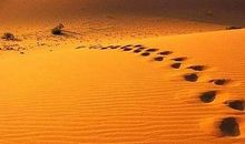 人生哲理的句子50字