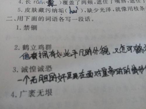 鸡蛋在一个句子