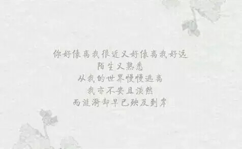 单相思的爱情句子