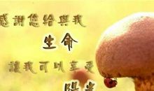 朋友的祝福的句子