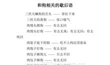 关于狗歇后语