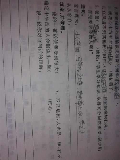 没有句子