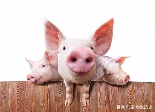 关于狗的寓言词