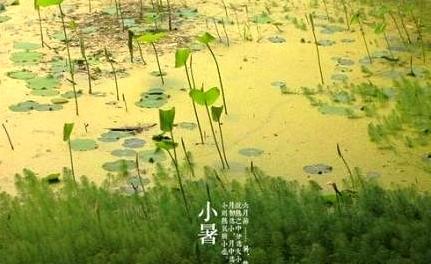 忠实于一句话