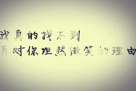 说7个字