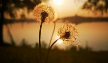 磨平性子里的棱角,平凡,就是最好的成长