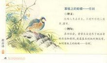 生活意义有关的谚语