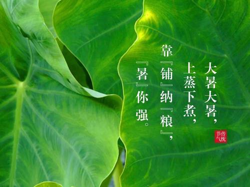 四个季节谚语