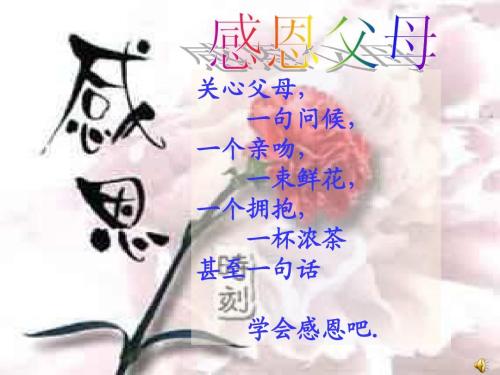 感激的一句话
