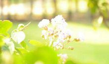 阳光总是无私的,它总是照亮那些需要温暖的人