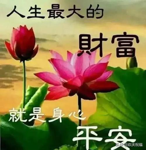 短信祝2020短语