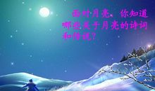 描写月光的优美诗句
